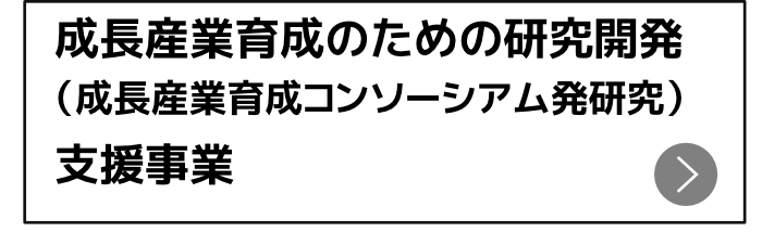 研究開発支援事業